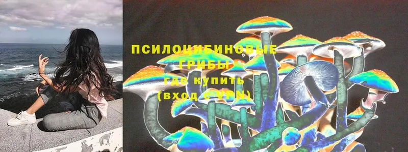 магазин продажи   shop официальный сайт  Галлюциногенные грибы Psilocybe  Дзержинский 